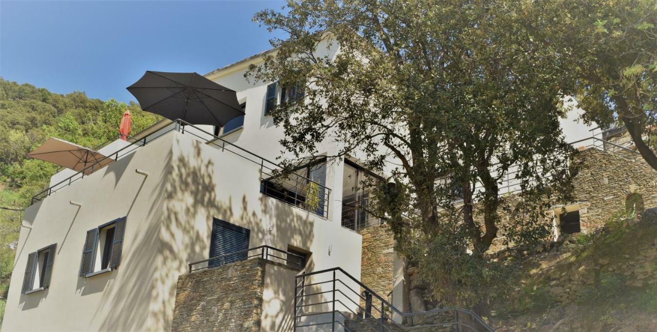A Casa Di Campa Villa Oletta  Bagian luar foto